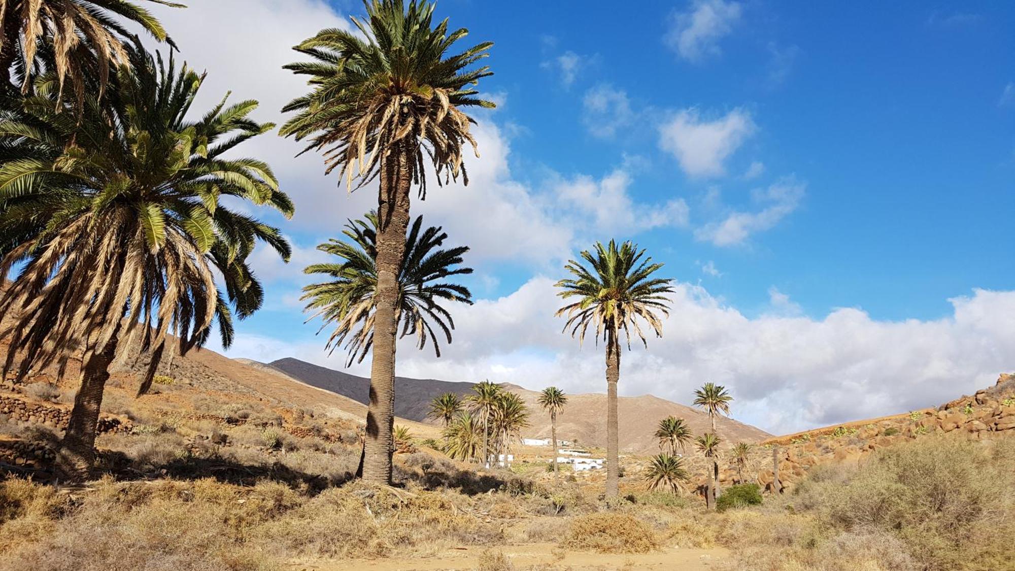 Casa Cocoon, Sun&Freedom, 8 Mn From Beaches, Internet Fiber Lajares Dış mekan fotoğraf